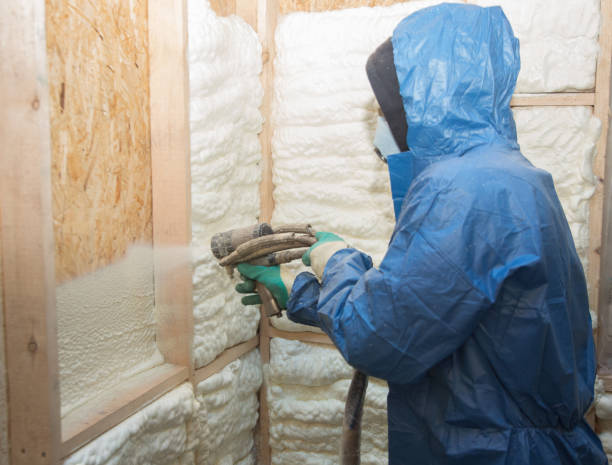 Trusted Level Plains, AL Insulation Experts